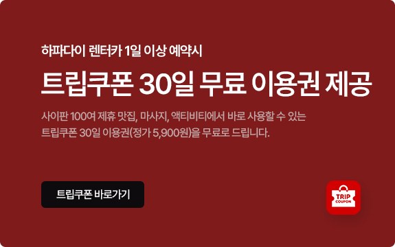 하파다이 렌터카 1일 이상 예약시 트립쿠폰 30일 무료 이용권 제공